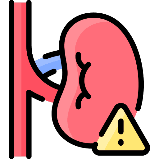 Diabetic Nephropathy Icon